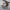rehausseur-chaise-bebe-enfant-chaise-pliante-legerte-pliable-portative-camping-maison-sorties-avec-les-petits-boutique-joie-de-bebe
